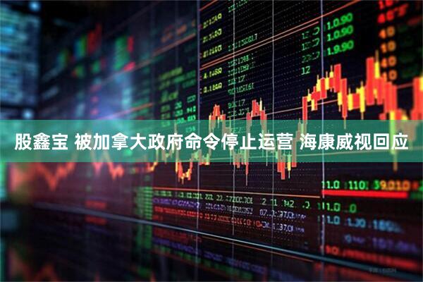 股鑫宝 被加拿大政府命令停止运营 海康威视回应