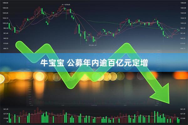 牛宝宝 公募年内逾百亿元定增