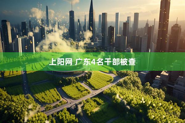 上阳网 广东4名干部被查