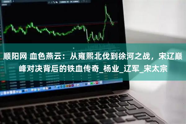 顺阳网 血色燕云：从雍熙北伐到徐河之战，宋辽巅峰对决背后的铁血传奇_杨业_辽军_宋太宗