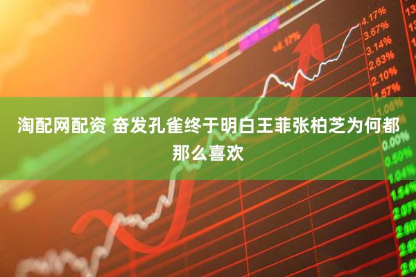 淘配网配资 奋发孔雀终于明白王菲张柏芝为何都那么喜欢